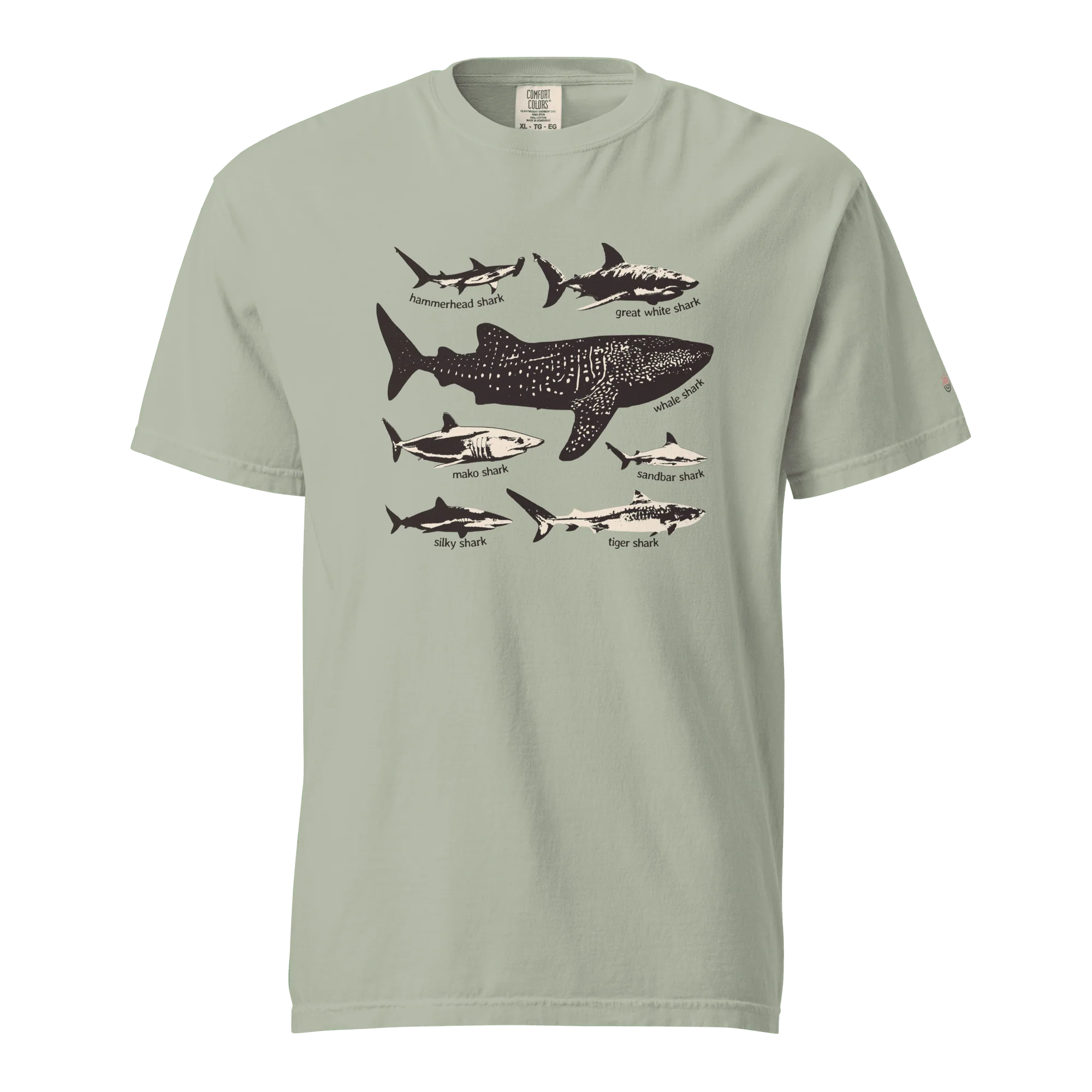 Shark Species T-Shirt (Limited Edition) - Image 5